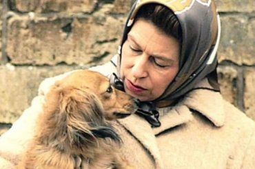 Dopo più di un anno dalla morte di Elisabetta II, che fine hanno fatto i suoi corgi?