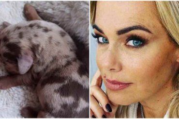 Sapete quanto costa il cane di Sonia Bruganelli? Da perdere la testa