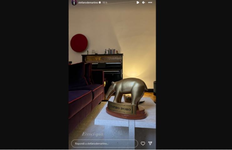 Stefano De Martino condivide la foto del tapiro sui social 