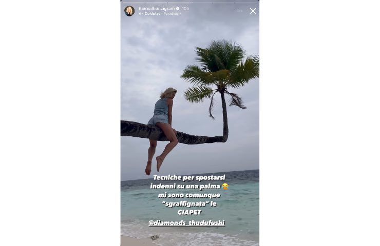 Michelle Hunzinker storia instagram incidente