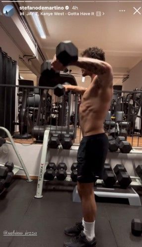 stefano de m palestra