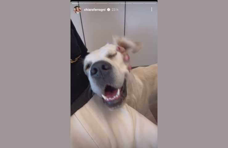 Paloma con Chiara Ferragni