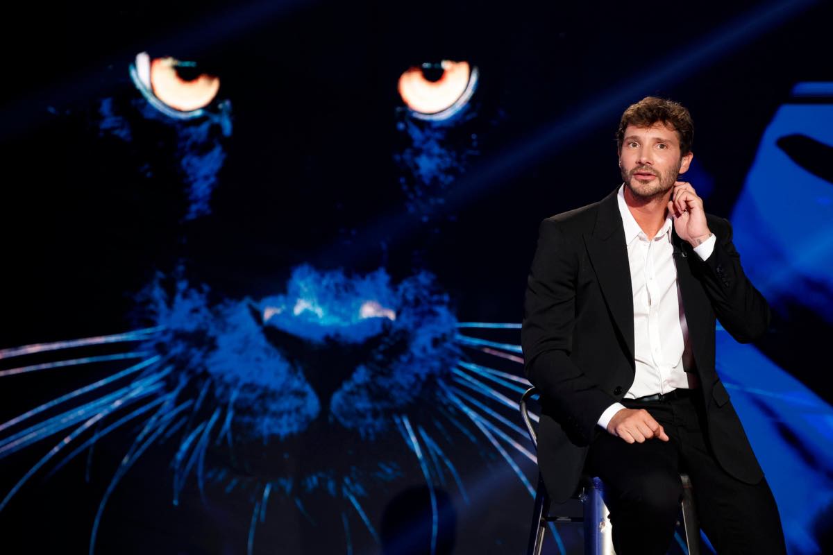 Stefano De Martino Belve