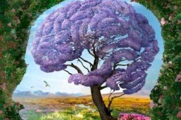 Benessere personale, cos’è l’anedonia: sempre più italiani ne sono colpiti